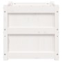 Jardinera madera maciza de pino blanco 50x50x50 cm de , Maceteros y jardineras - Ref: Foro24-837416, Precio: 62,05 €, Descuen...