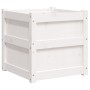 Jardinera madera maciza de pino blanco 50x50x50 cm de , Maceteros y jardineras - Ref: Foro24-837416, Precio: 62,05 €, Descuen...