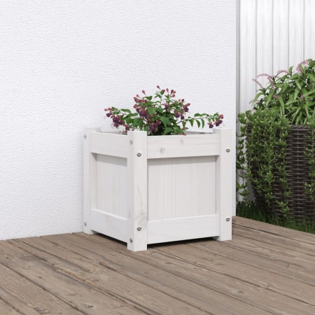 Jardinera de madera maciza de pino blanca 31x31x31 cm de , Maceteros y jardineras - Ref: Foro24-837396, Precio: 31,79 €, Desc...