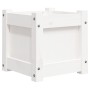 Jardinera de madera maciza de pino blanca 31x31x31 cm de , Maceteros y jardineras - Ref: Foro24-837396, Precio: 31,79 €, Desc...