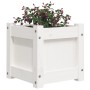 Jardinera de madera maciza de pino blanca 31x31x31 cm de , Maceteros y jardineras - Ref: Foro24-837396, Precio: 31,79 €, Desc...