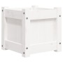 Jardinera de madera maciza de pino blanca 31x31x31 cm de , Maceteros y jardineras - Ref: Foro24-837396, Precio: 31,79 €, Desc...
