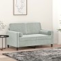 Sofá de 2 plazas con cojines terciopelo gris claro 120 cm de , Sofás - Ref: Foro24-3200871, Precio: 197,67 €, Descuento: %