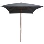 Sombrilla de jardín con palo de madera 200x300 cm antracita de vidaXL, Sombrillas - Ref: Foro24-44513, Precio: 68,46 €, Descu...