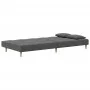 2-Sitzer-Schlafsofa mit zwei Kissen aus hellgrauem Stoff von , Sofas - Ref: Foro24-375792, Preis: 252,43 €, Rabatt: %