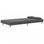 Sofá cama de 2 plazas con dos almohadas tela gris claro de , Sofás - Ref: Foro24-375792, Precio: 257,86 €, Descuento: %