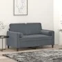 Sofá de 2 plazas con cojines terciopelo gris oscuro 120 cm de , Sofás - Ref: Foro24-3200872, Precio: 219,95 €, Descuento: %
