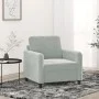 Sillón de terciopelo gris claro 60 cm de , Sofás - Ref: Foro24-359422, Precio: 132,66 €, Descuento: %