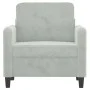 Sillón de terciopelo gris claro 60 cm de , Sofás - Ref: Foro24-359422, Precio: 132,66 €, Descuento: %