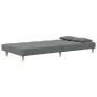 Sofá cama de 2 plazas con dos almohadas tela gris oscuro de , Sofás - Ref: Foro24-375793, Precio: 250,31 €, Descuento: %