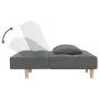 Sofá cama de 2 plazas con dos almohadas tela gris oscuro de , Sofás - Ref: Foro24-375793, Precio: 250,31 €, Descuento: %
