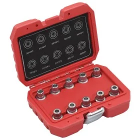 Set de tuercas de bloqueo de rueda para BMW de vidaXL, Herramientas de mano - Ref: Foro24-210491, Precio: 41,08 €, Descuento: %