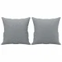 Juego de sofás con cojines 2 piezas tela gris claro de , Sofás - Ref: Foro24-3202102, Precio: 456,74 €, Descuento: %
