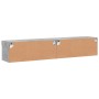 Muebles de TV con luces LED 2 uds gris hormigón 80x30x30 cm de , Muebles TV - Ref: Foro24-837148, Precio: 70,82 €, Descuento: %