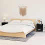 Mesitas de noche 2 uds acero y vidrio negras 40x30x54,5 cm de vidaXL, Mesitas de noche - Ref: Foro24-3095202, Precio: 186,46 ...