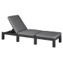 Keter Tumbona con cojín Daytona color grafito de , Tumbonas - Ref: Foro24-441306, Precio: 157,93 €, Descuento: %