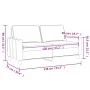 Sofá de 2 plazas de terciopelo gris claro 120 cm de , Sofás - Ref: Foro24-359189, Precio: 193,53 €, Descuento: %