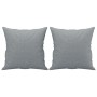 Juego de sofás con cojines 2 piezas tela gris claro de , Sofás - Ref: Foro24-3202134, Precio: 547,30 €, Descuento: %