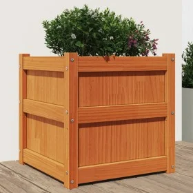 Jardinera exterior madera maciza pino marrón cera 50x50x50 cm de , Maceteros y jardineras - Ref: Foro24-837418, Precio: 61,20...