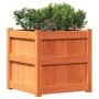 Jardinera exterior madera maciza pino marrón cera 50x50x50 cm de , Maceteros y jardineras - Ref: Foro24-837418, Precio: 61,66...