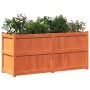 Jardinera exterior madera maciza pino marrón cera 150x50x70 cm de , Maceteros y jardineras - Ref: Foro24-837491, Precio: 174,...