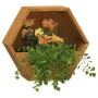 Jardineras de pared 2 uds acero corten oxidado 30x10x25 cm de , Maceteros y jardineras - Ref: Foro24-823684, Precio: 34,99 €,...