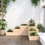 Jardinera de 4 niveles madera maciza de pino 80,5x79x36 cm de , Maceteros y jardineras - Ref: Foro24-825317, Precio: 67,32 €,...