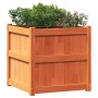 Jardinera exterior madera maciza pino marrón cera 60x60x60 cm de , Maceteros y jardineras - Ref: Foro24-837428, Precio: 96,26...