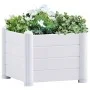 Arriate de jardín PP blanco 43x43x35 cm de , Maceteros y jardineras - Ref: Foro24-313971, Precio: 76,57 €, Descuento: %