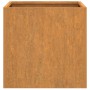 Jardineras 2 unidades acero corten 42x40x39 cm de , Maceteros y jardineras - Ref: Foro24-821550, Precio: 82,13 €, Descuento: %