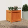 Jardinera exterior madera maciza pino marrón cera 40x40x40 cm de , Maceteros y jardineras - Ref: Foro24-837408, Precio: 50,76...