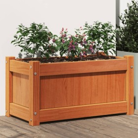 Jardinera exterior madera maciza pino marrón cera 60x31x31 cm de , Maceteros y jardineras - Ref: Foro24-837443, Precio: 40,91...