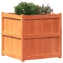 Jardinera exterior madera maciza pino marrón cera 70x70x70 cm de , Maceteros y jardineras - Ref: Foro24-837436, Precio: 99,41...