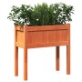 Jardineras con patas 2 uds madera maciza de pino marrón cera de , Maceteros y jardineras - Ref: Foro24-837559, Precio: 79,33 ...