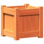 Jardinera exterior madera maciza pino marrón cera 31x31x31 cm de , Maceteros y jardineras - Ref: Foro24-837398, Precio: 28,12...