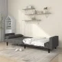 Sofá cama de 2 plazas con dos almohadas tela gris oscuro de , Sofás - Ref: Foro24-375834, Precio: 275,47 €, Descuento: %