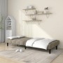 Sofá cama de 2 plazas terciopelo gris claro de , Sofás - Ref: Foro24-375841, Precio: 236,66 €, Descuento: %