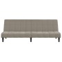 Sofá cama de 2 plazas terciopelo gris claro de , Sofás - Ref: Foro24-375841, Precio: 236,66 €, Descuento: %