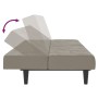 Sofá cama de 2 plazas terciopelo gris claro de , Sofás - Ref: Foro24-375841, Precio: 236,66 €, Descuento: %
