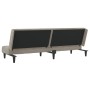Sofá cama de 2 plazas terciopelo gris claro de , Sofás - Ref: Foro24-375841, Precio: 236,66 €, Descuento: %