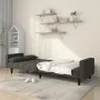 Sofá cama de 2 plazas con dos almohadas terciopelo gris oscuro by , Sofas - Ref: Foro24-375848, Price: 278,91 €, Discount: %
