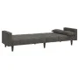 Sofá cama de 2 plazas con dos almohadas terciopelo gris oscuro by , Sofas - Ref: Foro24-375848, Price: 278,91 €, Discount: %