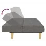 Sofá cama de 2 plazas tela gris claro de , Sofás - Ref: Foro24-375826, Precio: 255,58 €, Descuento: %