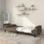 Sofá cama de 2 plazas con dos almohadas tela gris taupe de , Sofás - Ref: Foro24-375839, Precio: 278,26 €, Descuento: %