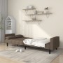 Sofá cama de 2 plazas con dos almohadas tela gris taupe de , Sofás - Ref: Foro24-375839, Precio: 283,18 €, Descuento: %