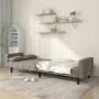Sofá cama de 2 plazas con dos almohadas terciopelo gris claro de , Sofás - Ref: Foro24-375847, Precio: 280,47 €, Descuento: %