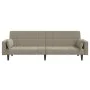 Sofá cama de 2 plazas con dos almohadas terciopelo gris claro de , Sofás - Ref: Foro24-375847, Precio: 280,47 €, Descuento: %
