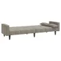 Sofá cama de 2 plazas con dos almohadas terciopelo gris claro de , Sofás - Ref: Foro24-375847, Precio: 280,47 €, Descuento: %
