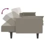 Sofá cama de 2 plazas con dos almohadas terciopelo gris claro de , Sofás - Ref: Foro24-375847, Precio: 280,47 €, Descuento: %