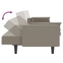 Sofá cama de 2 plazas con dos almohadas terciopelo gris claro de , Sofás - Ref: Foro24-375847, Precio: 285,39 €, Descuento: %